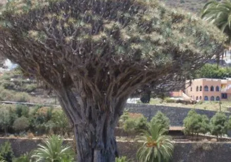 Apartment Stunning Views At Tenerife