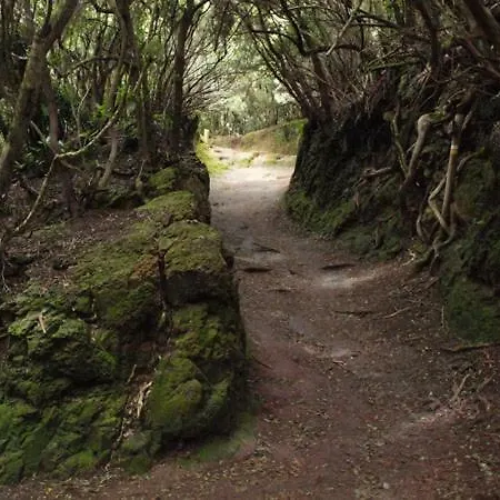 Stunning Views At Tenerife Apartmán *