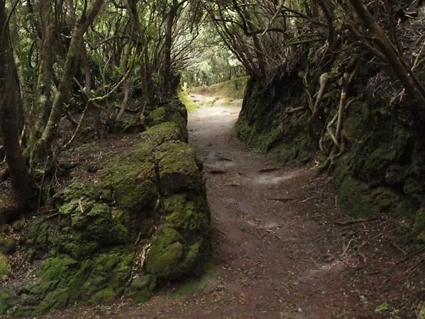 Stunning Views At Tenerife 公寓 *