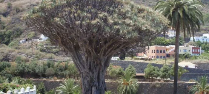 公寓 Stunning Views At Tenerife