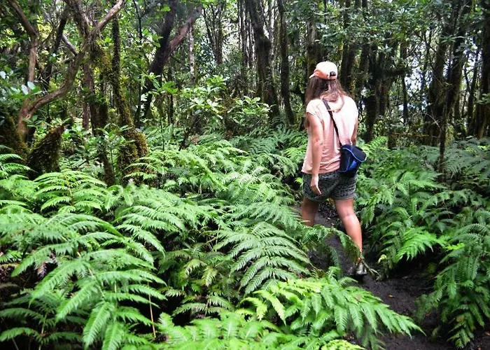 Stunning Views At Tenerife 公寓